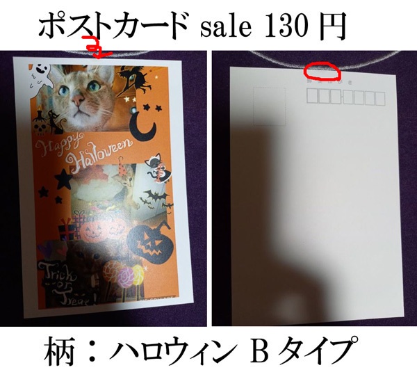 ポストカード バラ売りセール