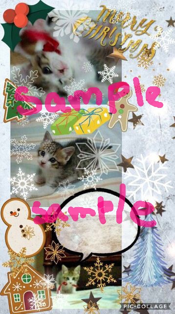 ポストカード バラ売り<対象柄のみ>