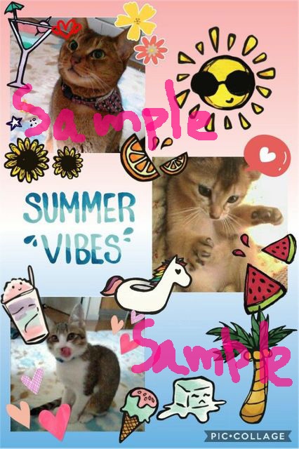 ポストカード バラ売り<対象柄のみ>