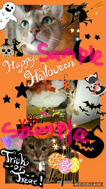 ポストカード バラ売り<対象柄のみ>