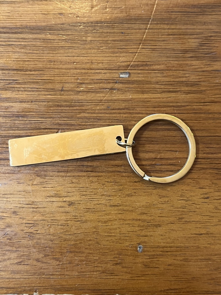 セイガの目ゴールドキーホルダー