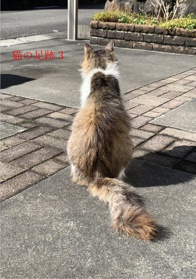 【短文基本+α】猫の足跡3　スプレッドシート付き