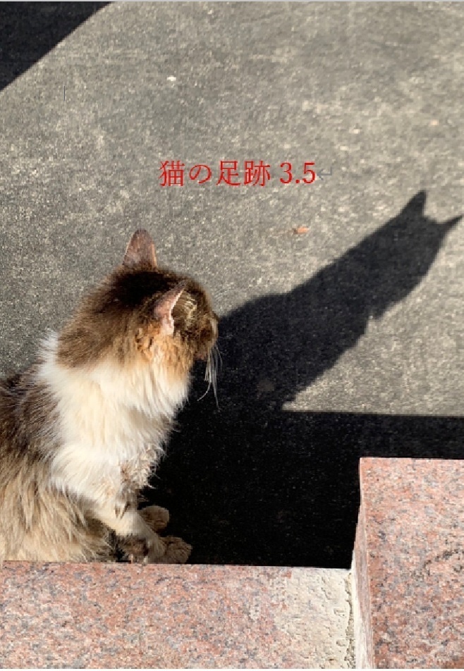【短文基本+α】猫の足跡3.5　スプレッドシート付き