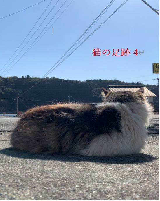 【短文基本+α】猫の足跡4　スプレッドシート付き