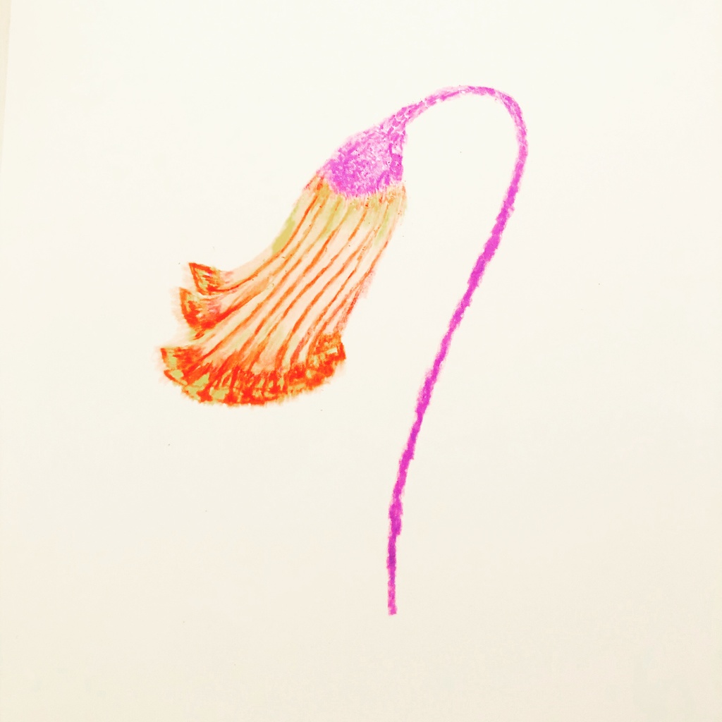 かわいいマスキングテープ