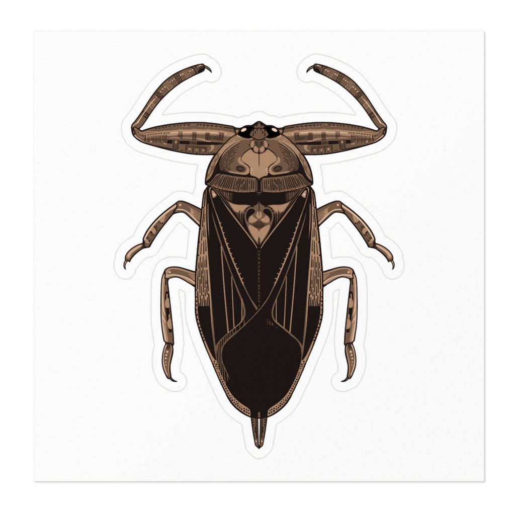 タガメ・ステッカー