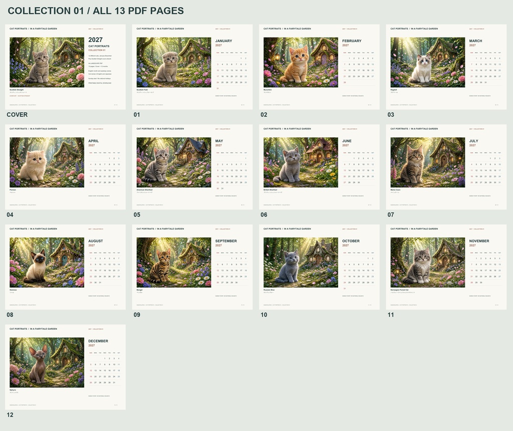 Cat Portraits 2027 | Collection 01 | Printable A4 Landscape PDF Calendar