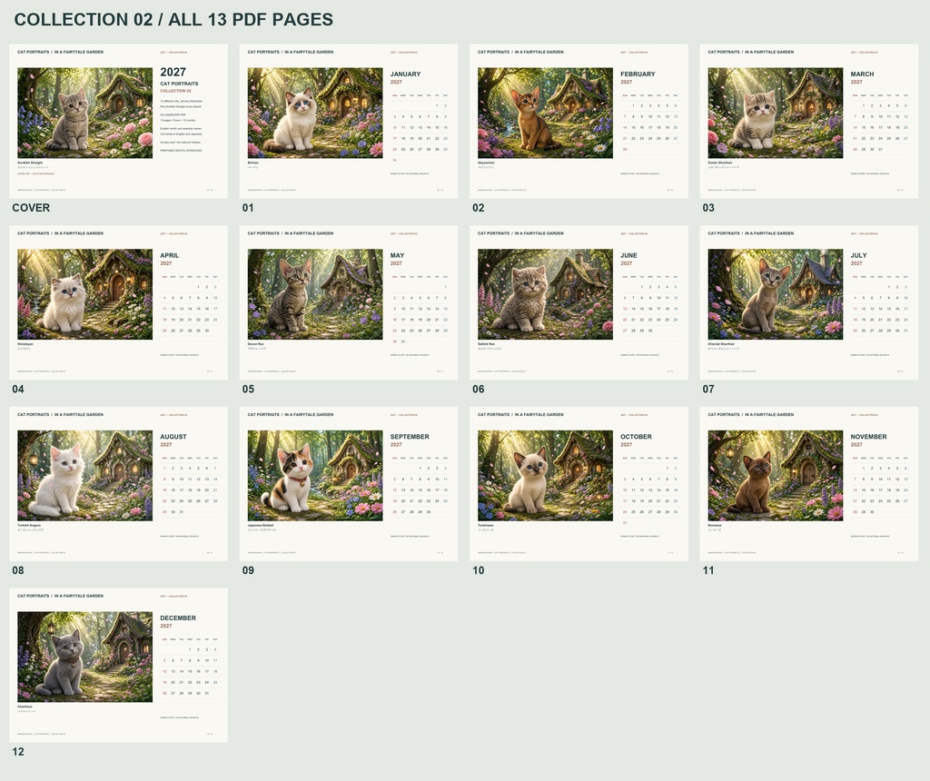 Cat Portraits 2027 | Collection 02 | Printable A4 Landscape PDF Calendar