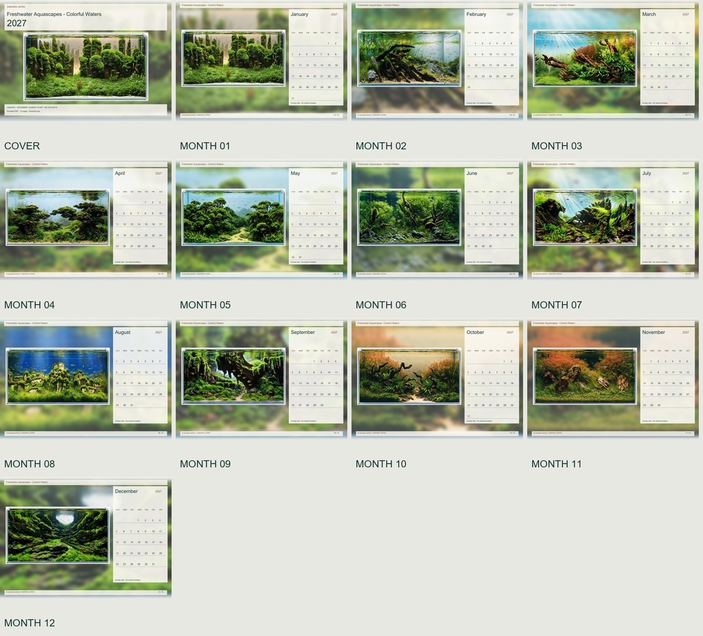 Freshwater Aquascapes - Colorful Waters 2027 Printable A4 Landscape PDF Calendar