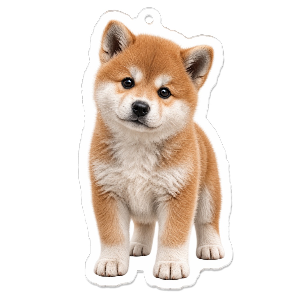 ふわふわ秋田犬の子犬｜日本犬アクリルキーホルダー 70mm
