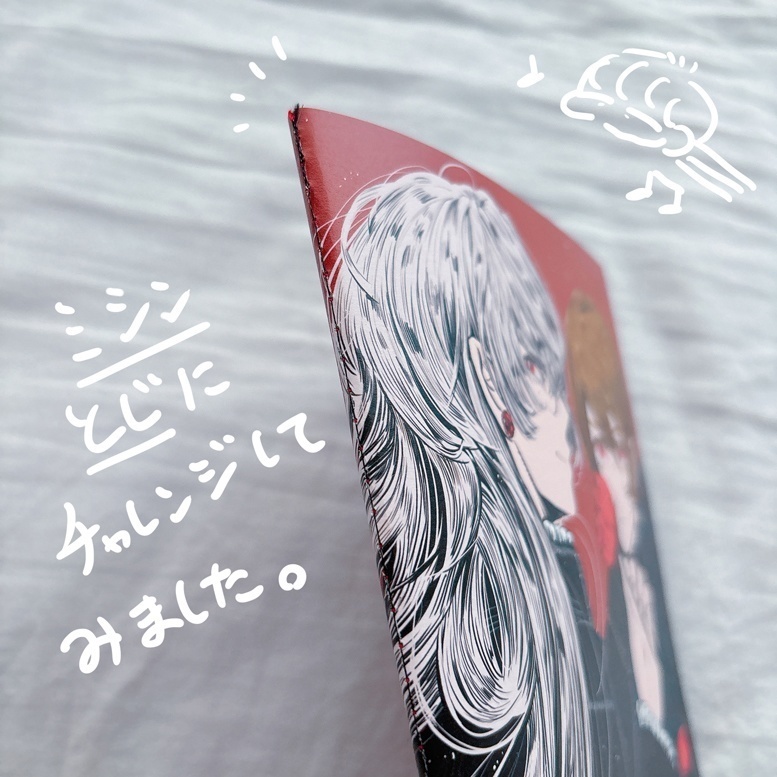 ROES EYES【イラスト集】