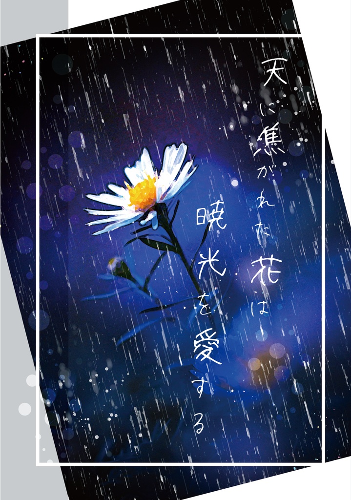 【原神】天に焦がれた花は暁光を愛する