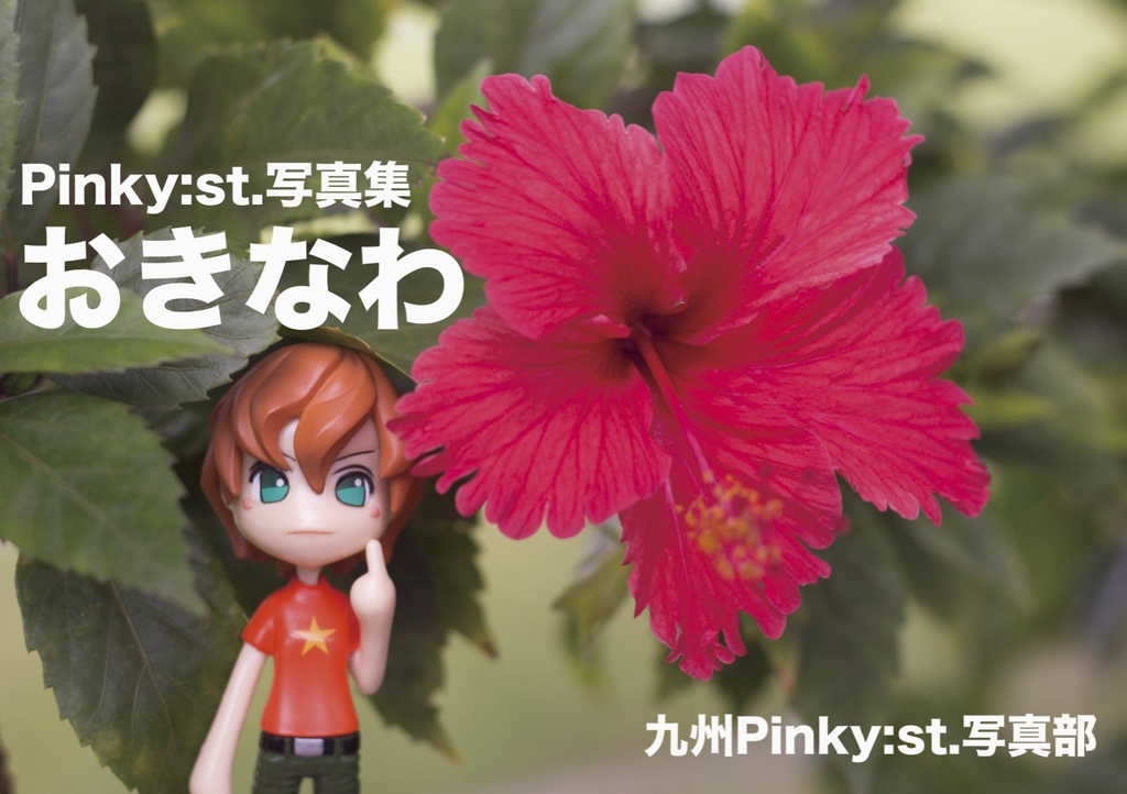 Pinky:st.写真集「おきなわ」