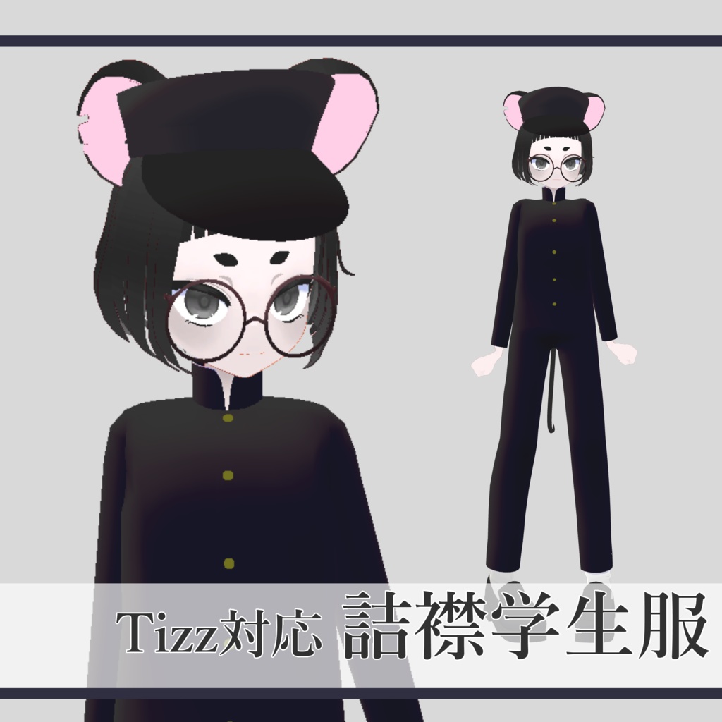 Tizz対応　詰襟学生服