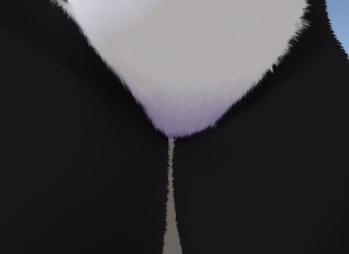 Neo Deira fur