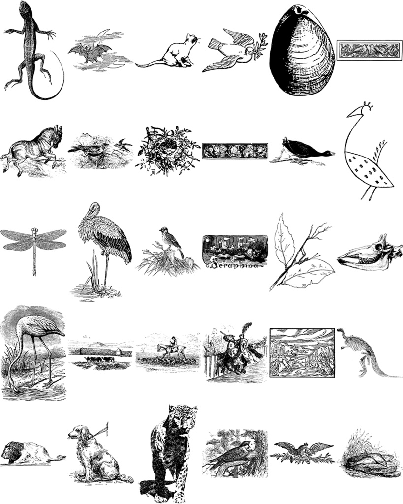 中世風素材「生き物」30種類