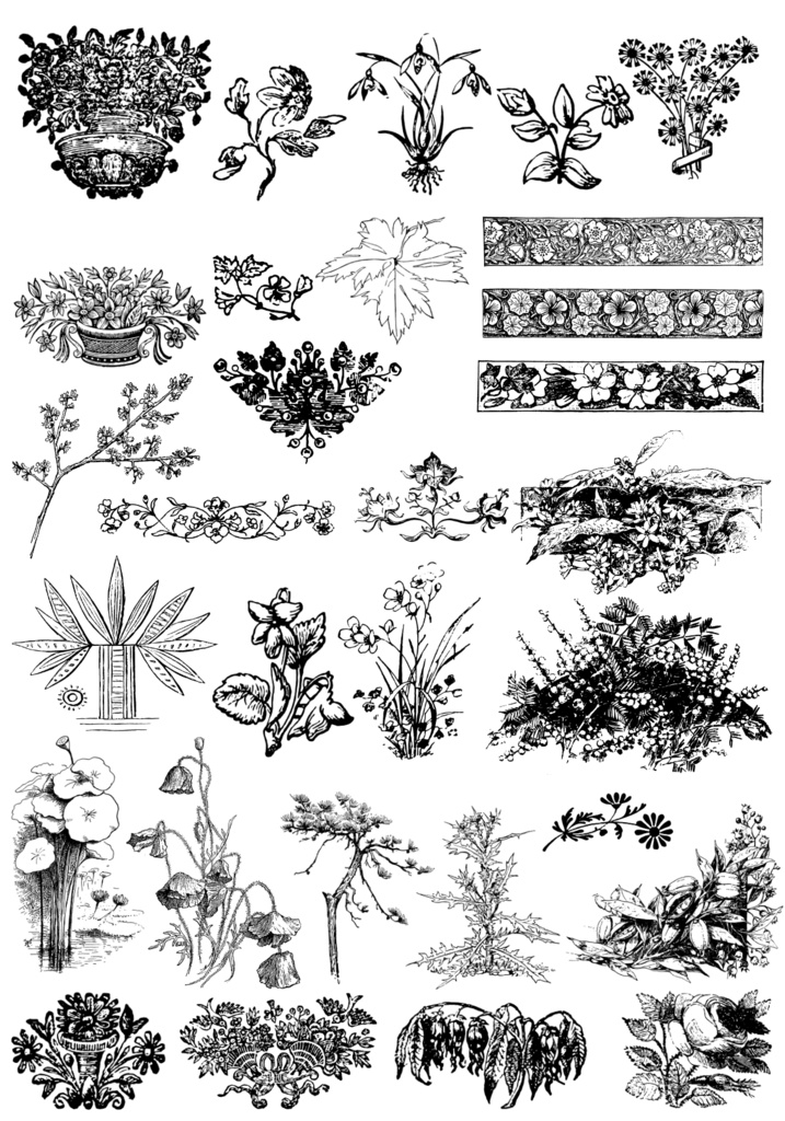 中世風素材「植物、花」30種類その2