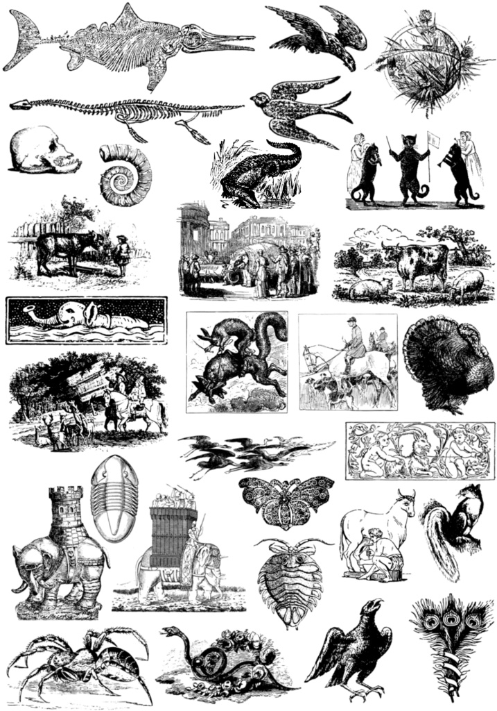 中世風素材「生き物」30種類その2