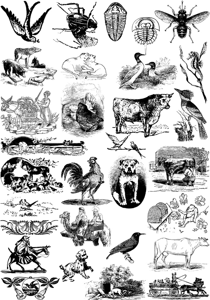 中世風素材「生き物」30種類その3