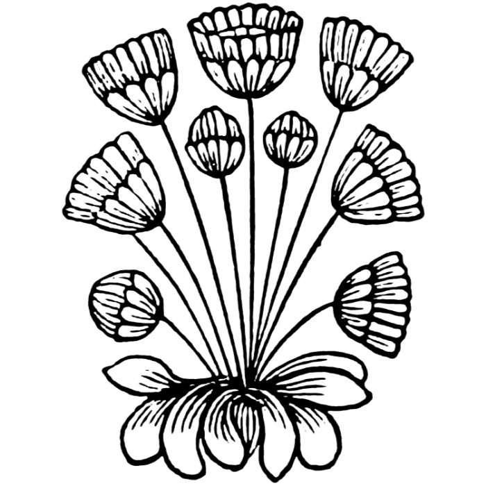 中世風素材「植物、花」30種類その5