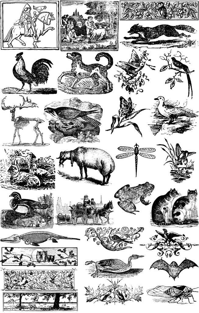 中世風素材「生き物」30種類その4