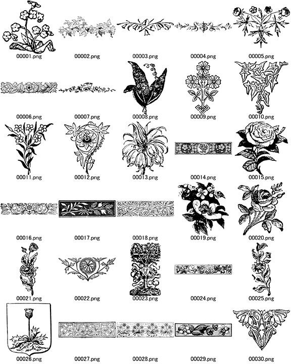 中世風素材「植物、花」150種類まとめ