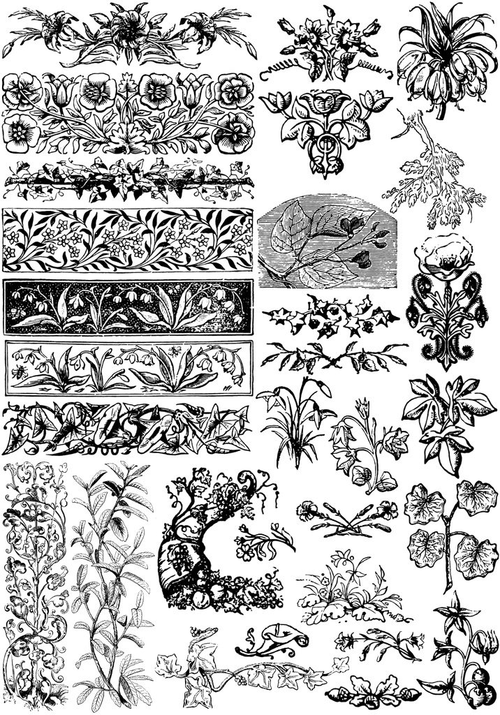 中世風素材「植物、花」30種類その6