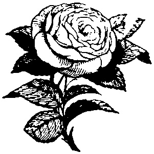 中世風素材「植物、花」30種類