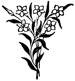 中世風素材「植物、花」30種類