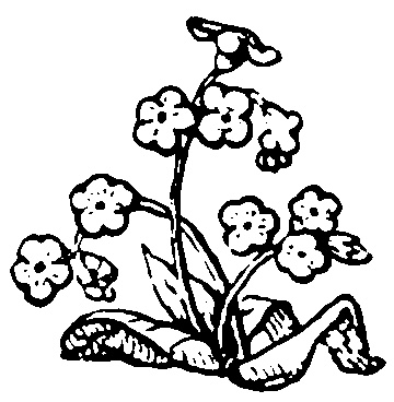 中世風素材「植物、花」30種類