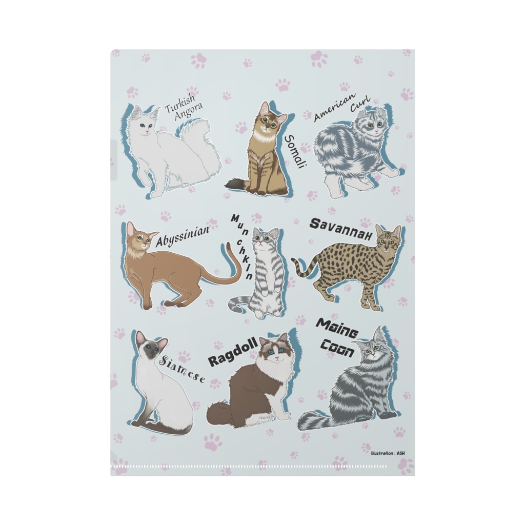 クリアファイル