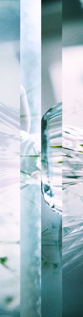 夏に響き渡る、氷の音、無くなってゆく。キーホルダー。