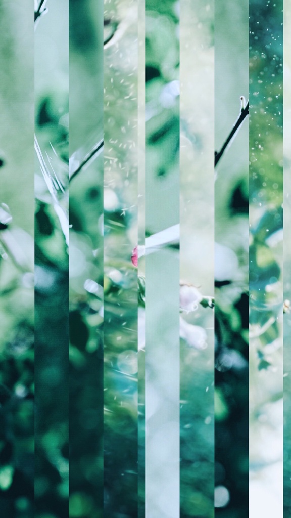 消えそうな、夏、日差し、セミの鳴き声。アクリルスマホスタンド。