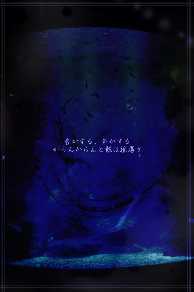 水中標本は眠らない