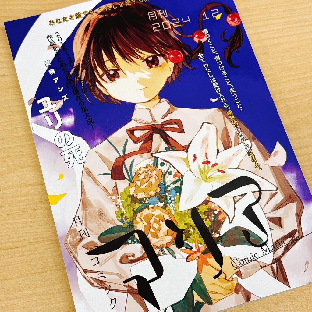 コミックマリア(現在付録のみ販売)