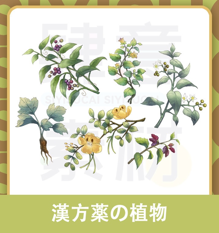 【素材集】漢方薬の植物