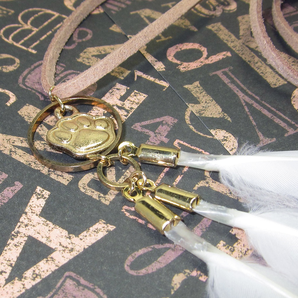 【値下げ】イギー/ザ フール イメージネックレス