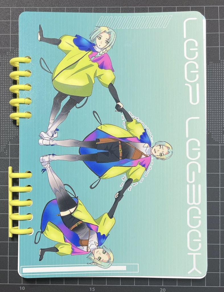 LOOP LOGBOOK