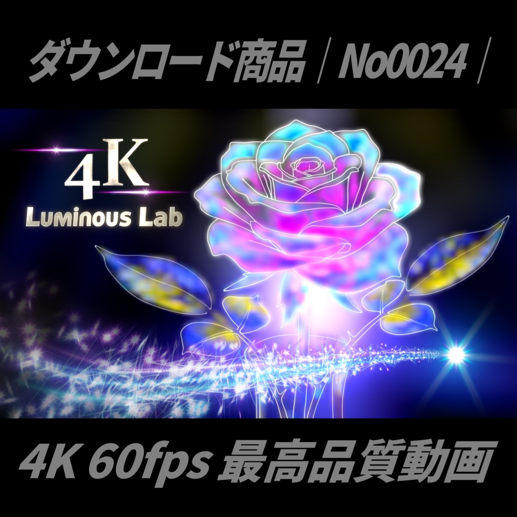 【無料】4K 60fps 最高品質動画|光の詩篇:薔薇の誕生と昇華ライトストロークアニメーション|No0024