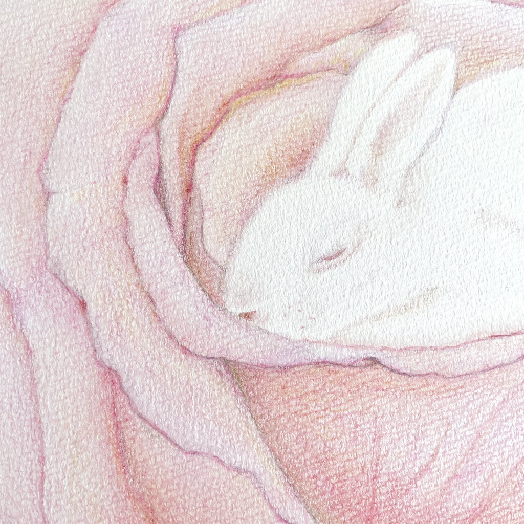 バラの中で眠るうさぎ