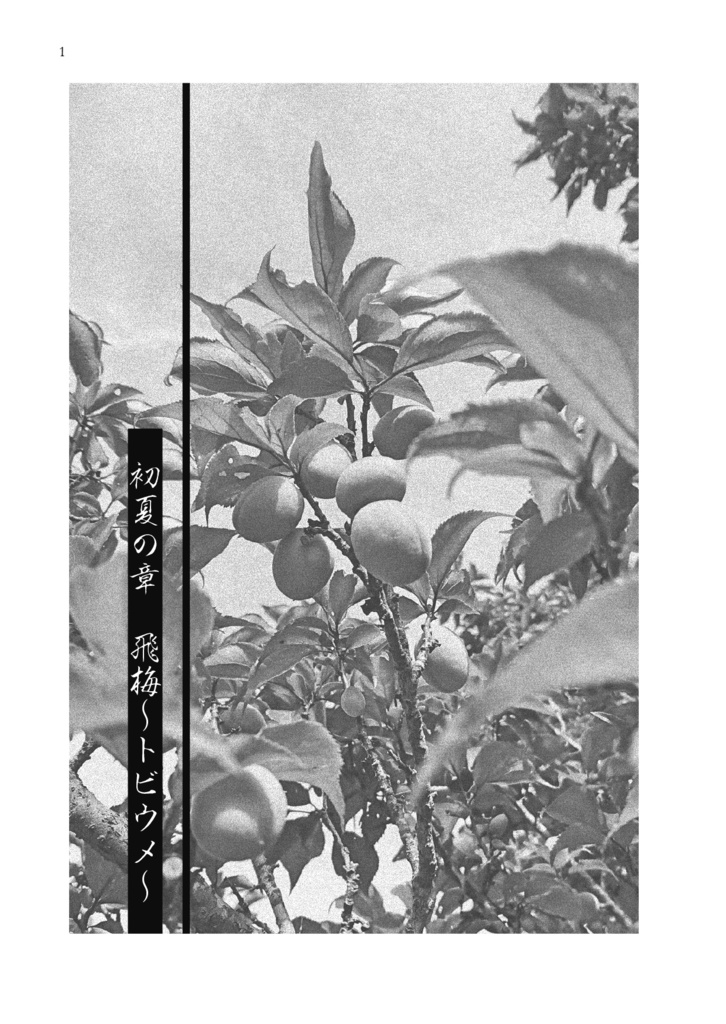 霊媒堂猫の手(貳)