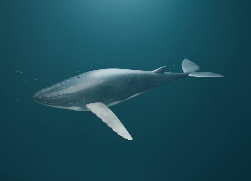 巨きな隣人|ザトウクジラ・遊泳ループ付き3D素材【Blender / GLB】