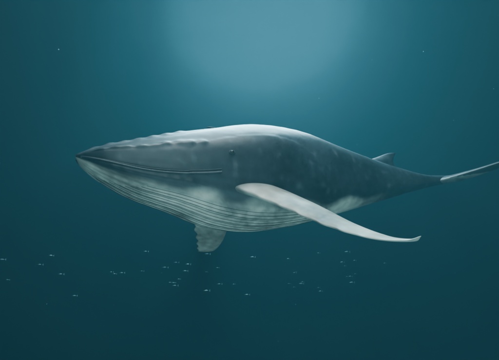 巨きな隣人|ザトウクジラ・遊泳ループ付き3D素材【Blender / GLB】
