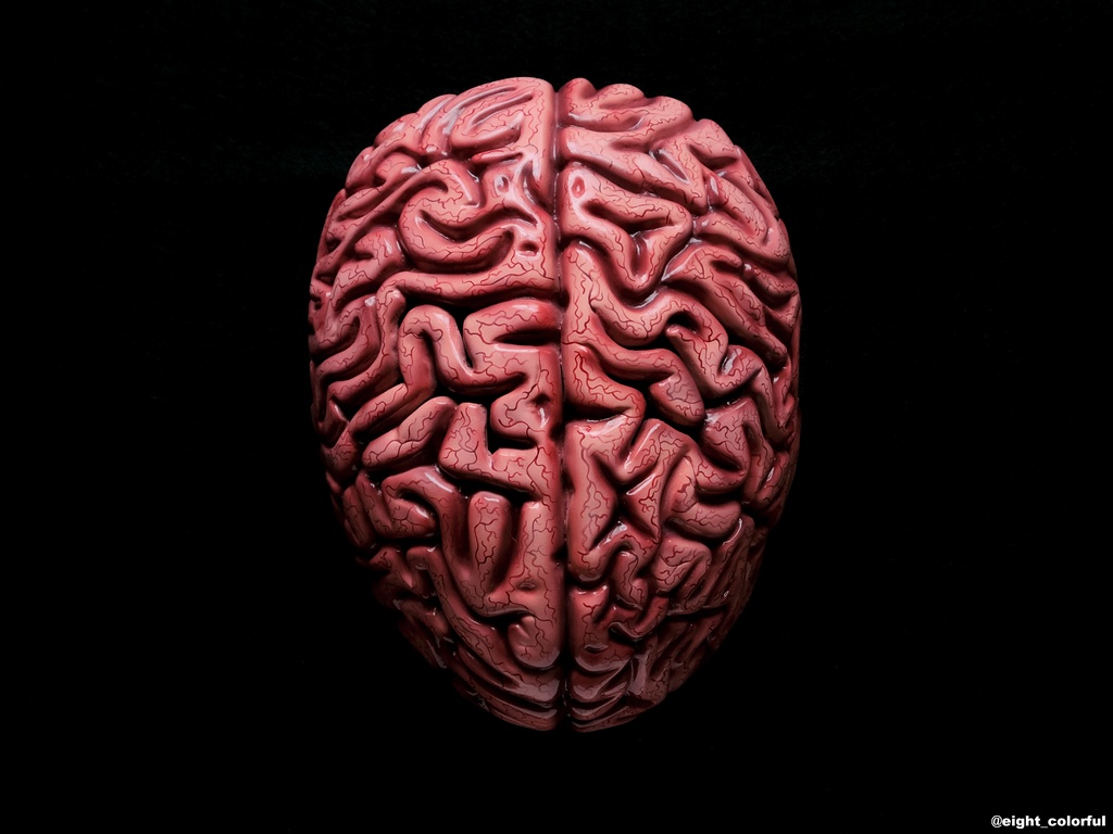 脳面ver.2.0(血管マシマシ)