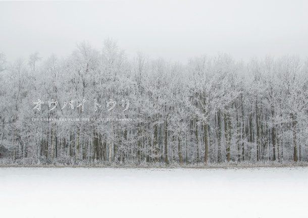 オウバイトウリ