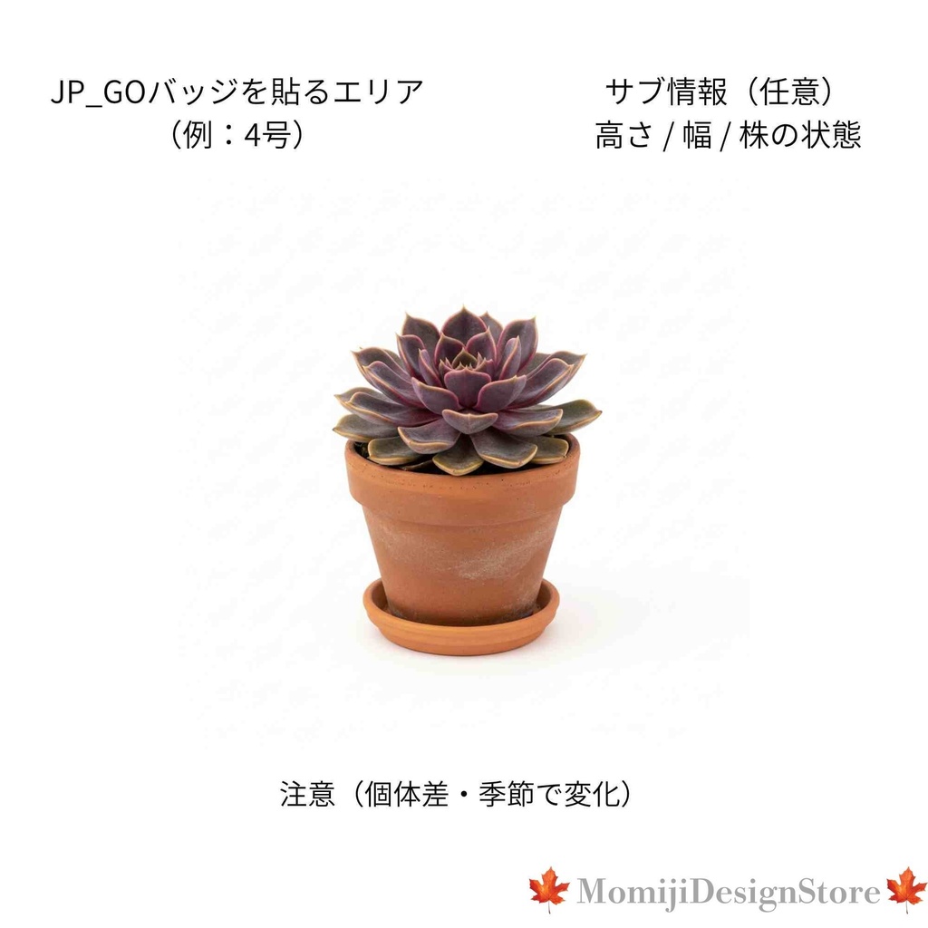 植物販売向け Canva商品画像テンプレ6枚+鉢サイズバッジ(号数/インチ/2行)DL版