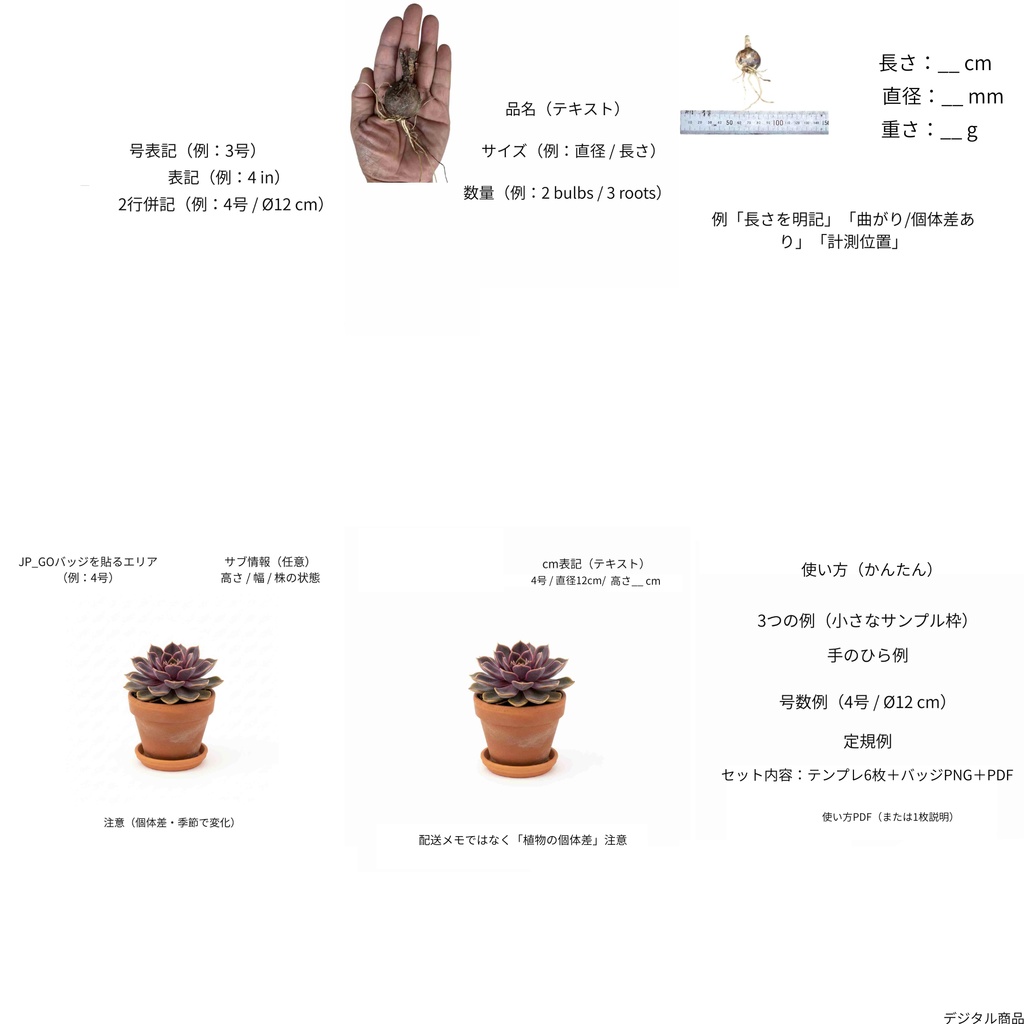 植物販売向け Canva商品画像テンプレ6枚+鉢サイズバッジ(号数/インチ/2行)DL版