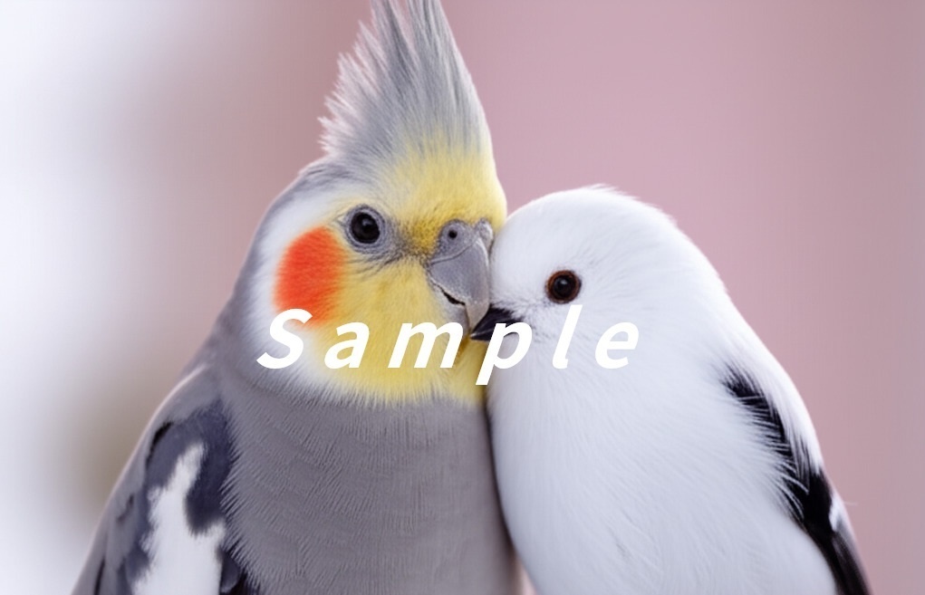 オカメインコ+シマエナガ⑥