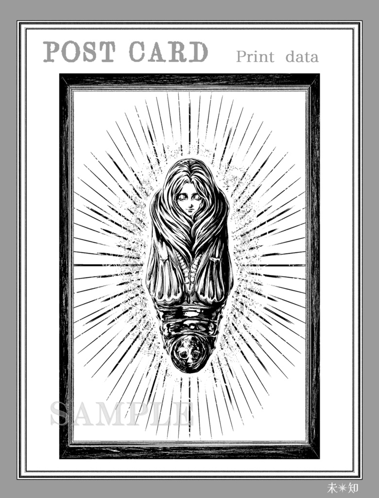 『蝶少年の蛹と雌雄同体的な蝶の標本』オリジナルポストカード 2枚セット