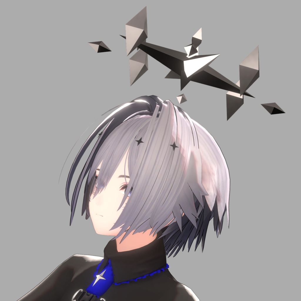 【装備】Aegis Shifter